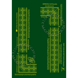 Patrón Estrecha 34B Entredós