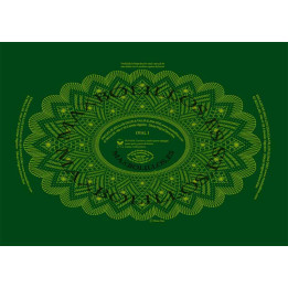 Patrón Oval 1